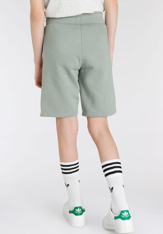 ADIDAS ORIGINALS Regular Shorts 'Adicolor' in Grün