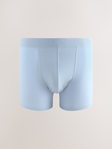 Next Trunks in Mischfarben