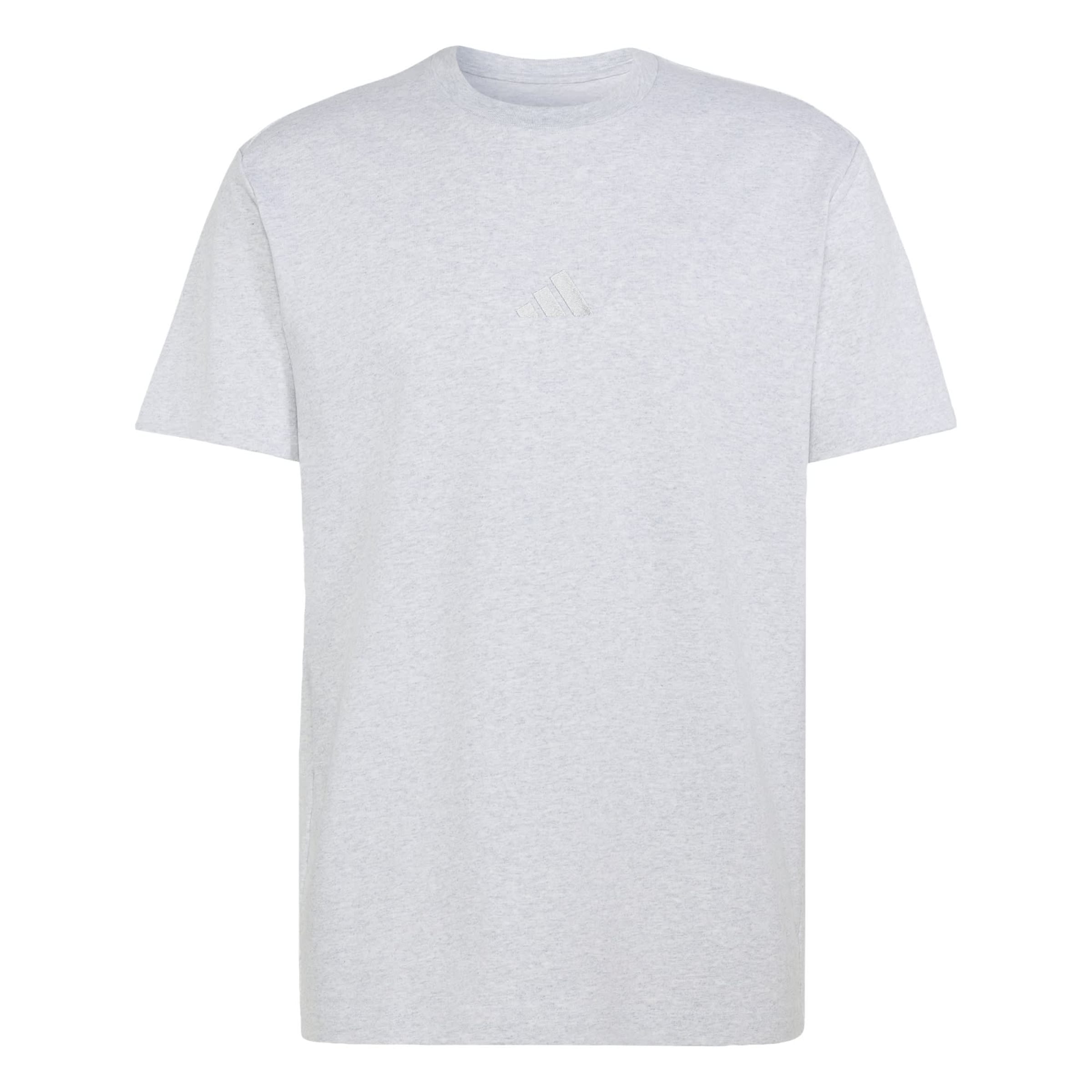 ADIDAS SPORTSWEAR - Camiseta funcional en gris: frente