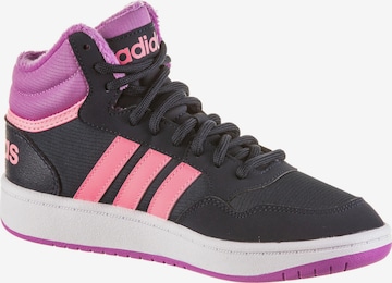 ADIDAS ORIGINALS Athletic Shoes 'Hoops 3.0' in Pink