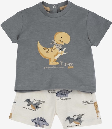 Chicco Setti värissä harmaa: etupuoli