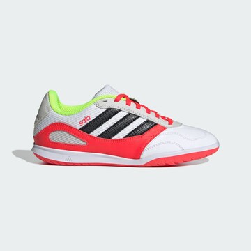 ADIDAS PERFORMANCE Sportschoen 'Super Sala Competition III' in Wit