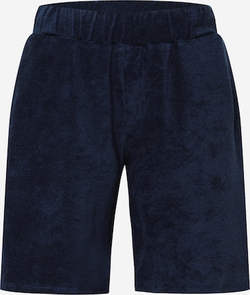 Brosbi Regular Pants in Blue: front