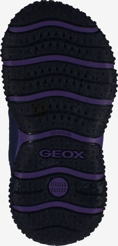 GEOX Halbschuh in Blau