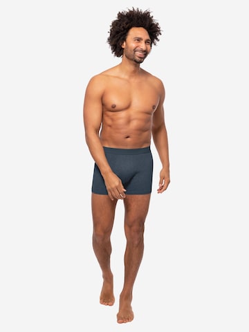 Almonu Boxer shorts 'Cotton - Melange' in Blue
