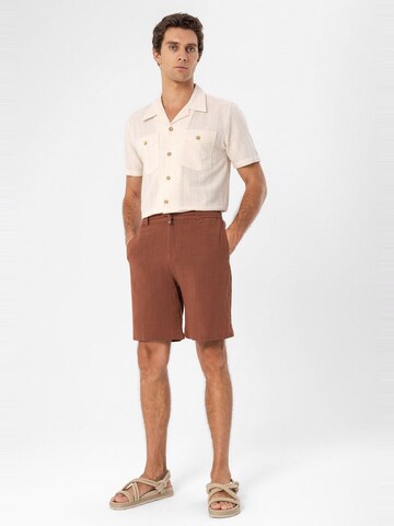 Antioch Regular Shorts in Braun