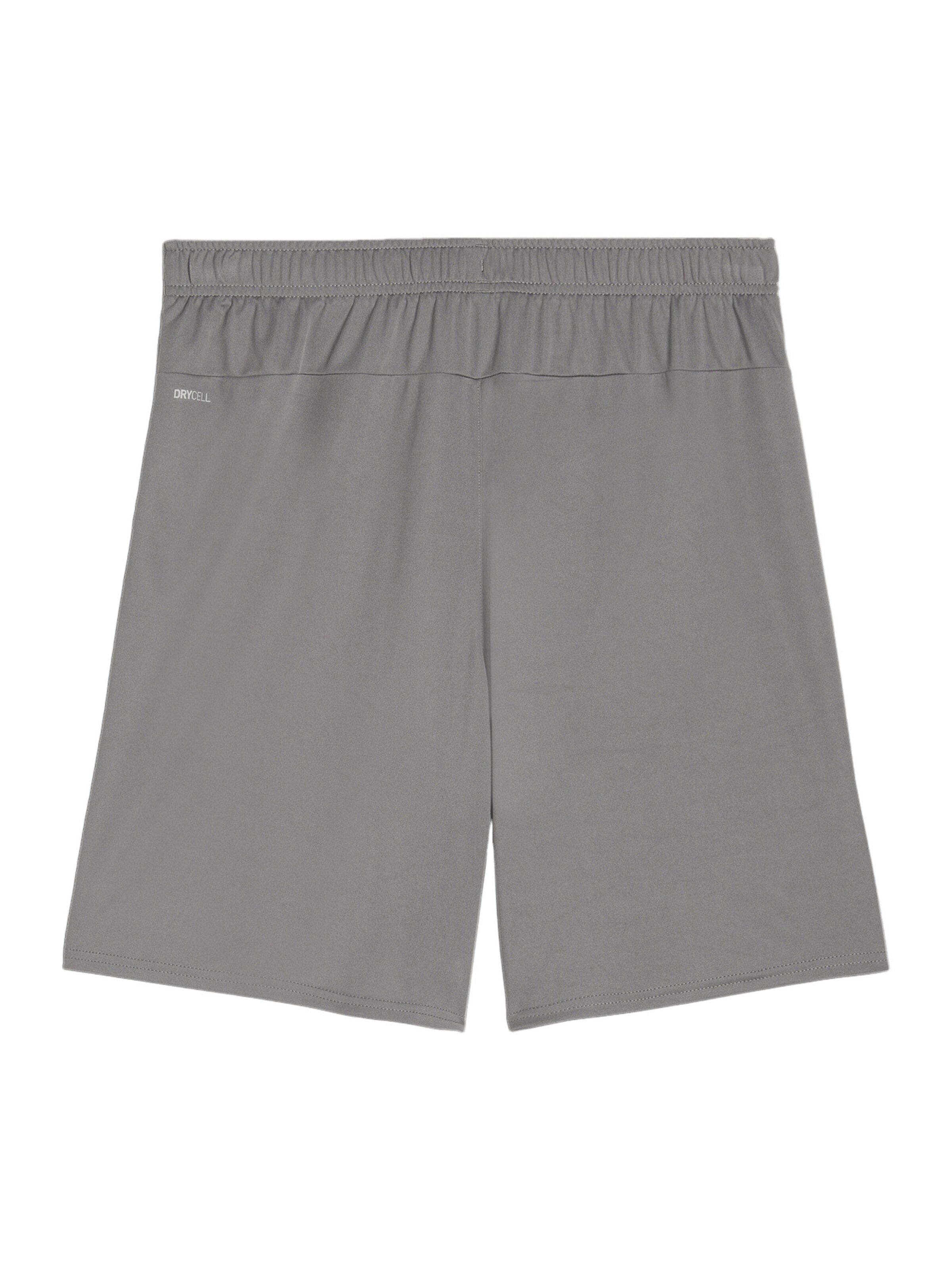 PUMA Regular Workout Pants 'TeamGoal' in Grey