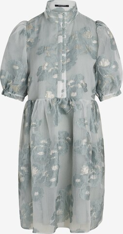 BRUUNS BAZAAR Shirt Dress 'Aconite Majbritt' in Green: front