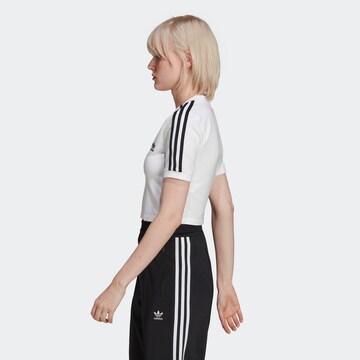 T-shirt ADIDAS ORIGINALS en blanc