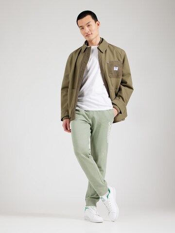 JACK & JONES Tapered Byxa 'JPSTGORDON' i grön