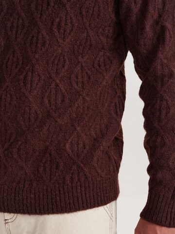 Dxnmxrk Pullover 'DXDiego' in Braun