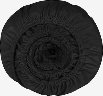 SCHIESSER Bed Sheet 'Jessi' in Black: front