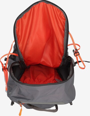 SALEWA Sports Backpack 'Trainer' in Grey