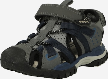 GEOX Sandals & Slippers 'Borealis' in Grey: front
