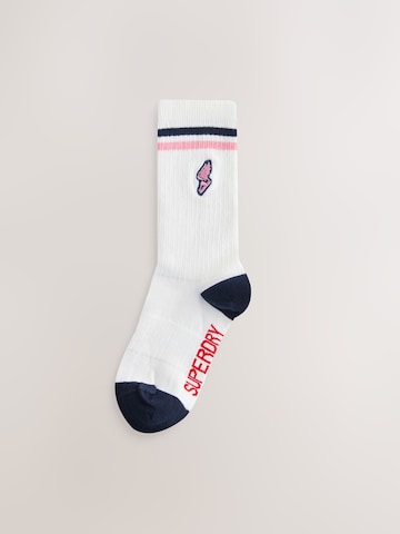 Superdry - Calcetines en rosa