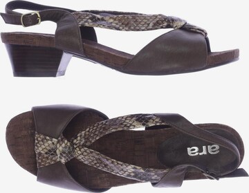 ARA Sandals & High-Heeled Sandals in 40,5 in Brown: front