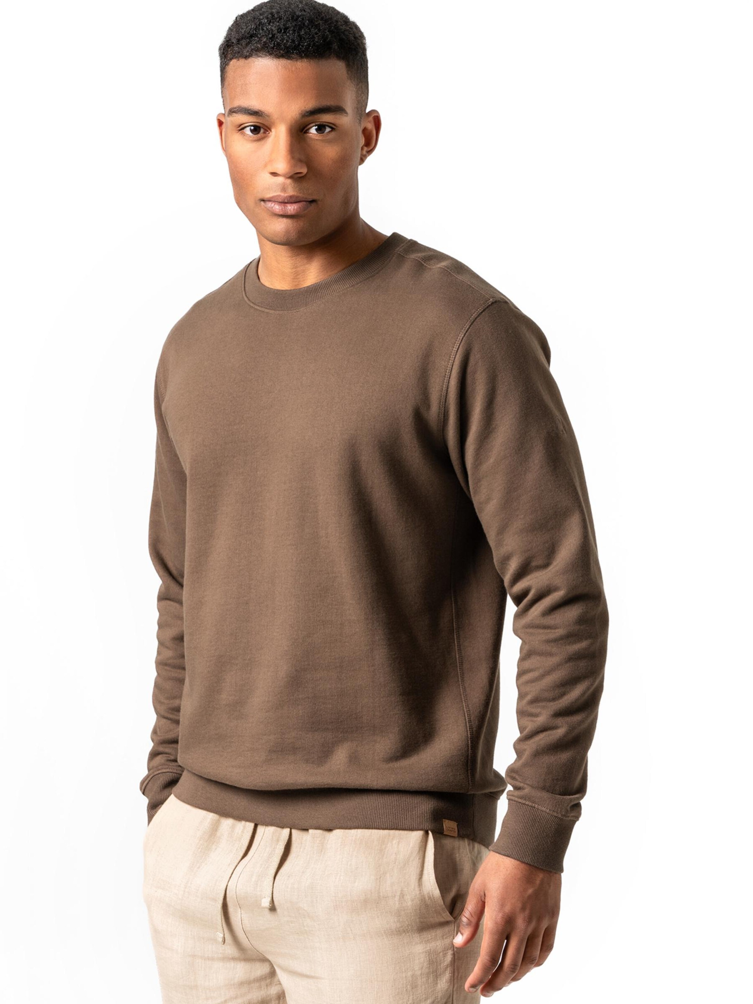 Living Crafts Pullover 'SALVO'‌‌‌‌‌‌‌‌ in Braun