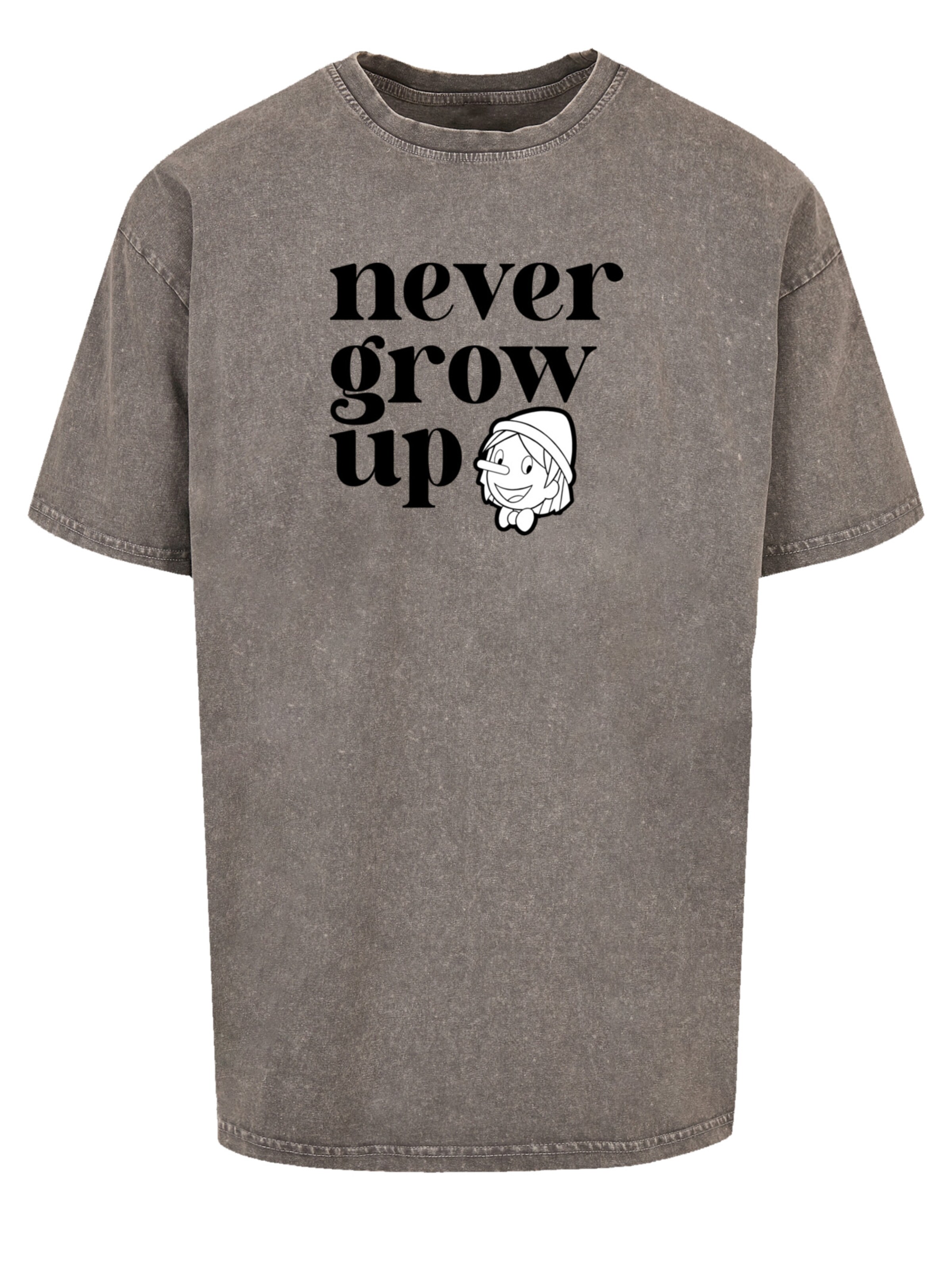 F4NT4STIC Shirt in Grey: front