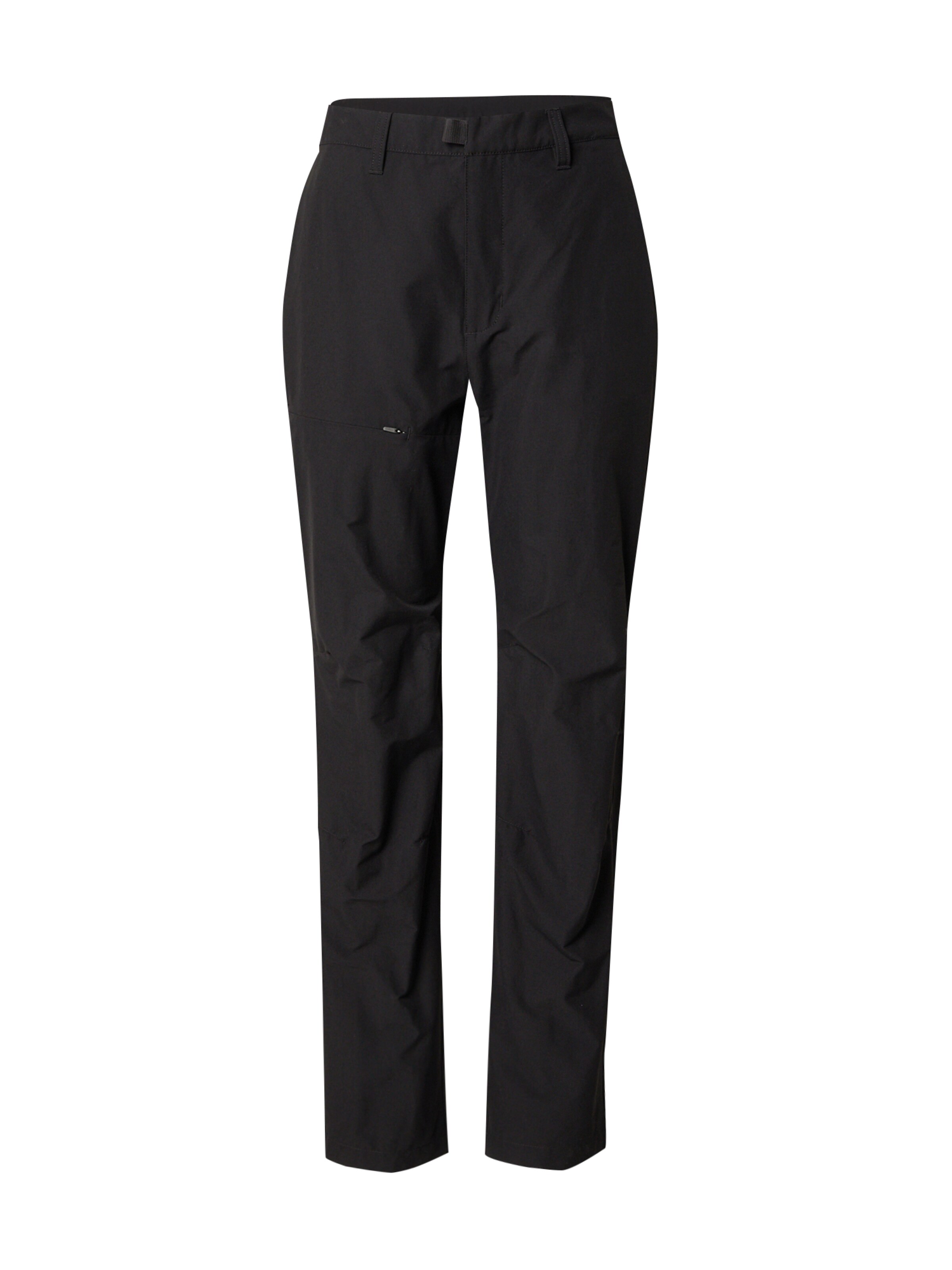 THE NORTH FACE regular Udendørs bukser 'BASIN' i sort: forside