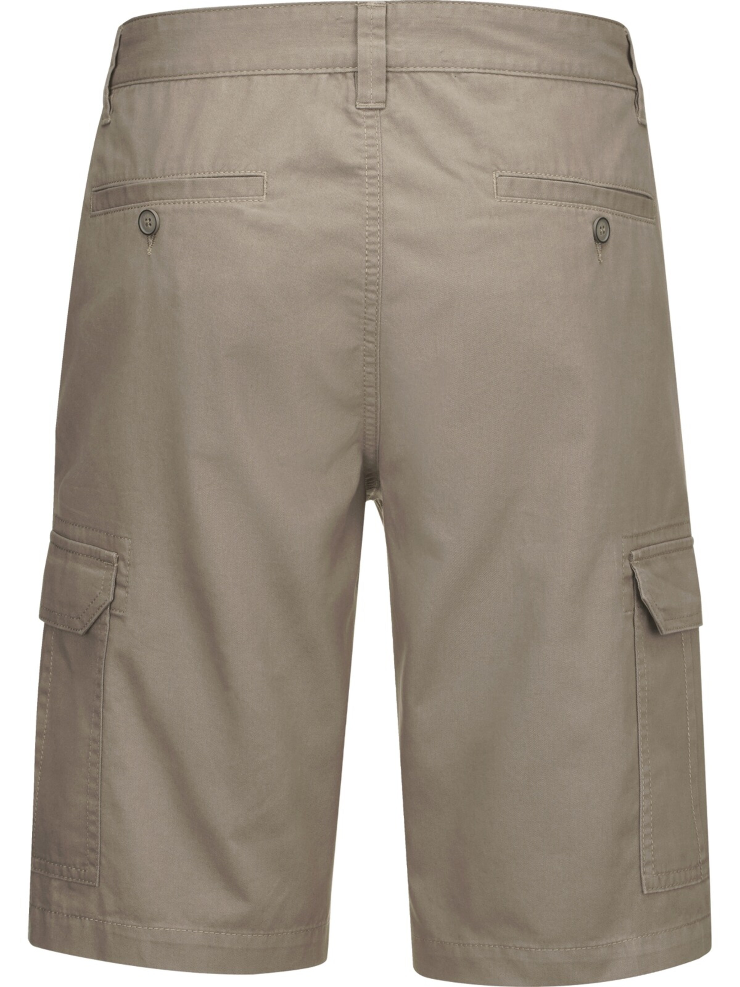 BABISTA Regular Pants in Brown