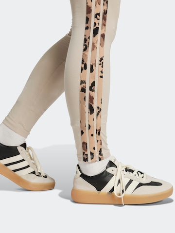 brūns ADIDAS SPORTSWEAR Piegulošs Sporta bikses