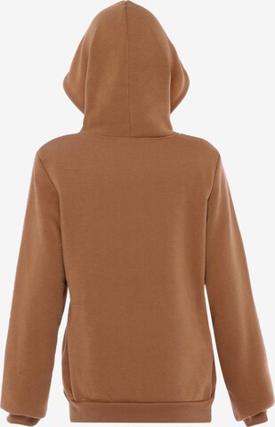 Colina Zip-Up Hoodie in Brown