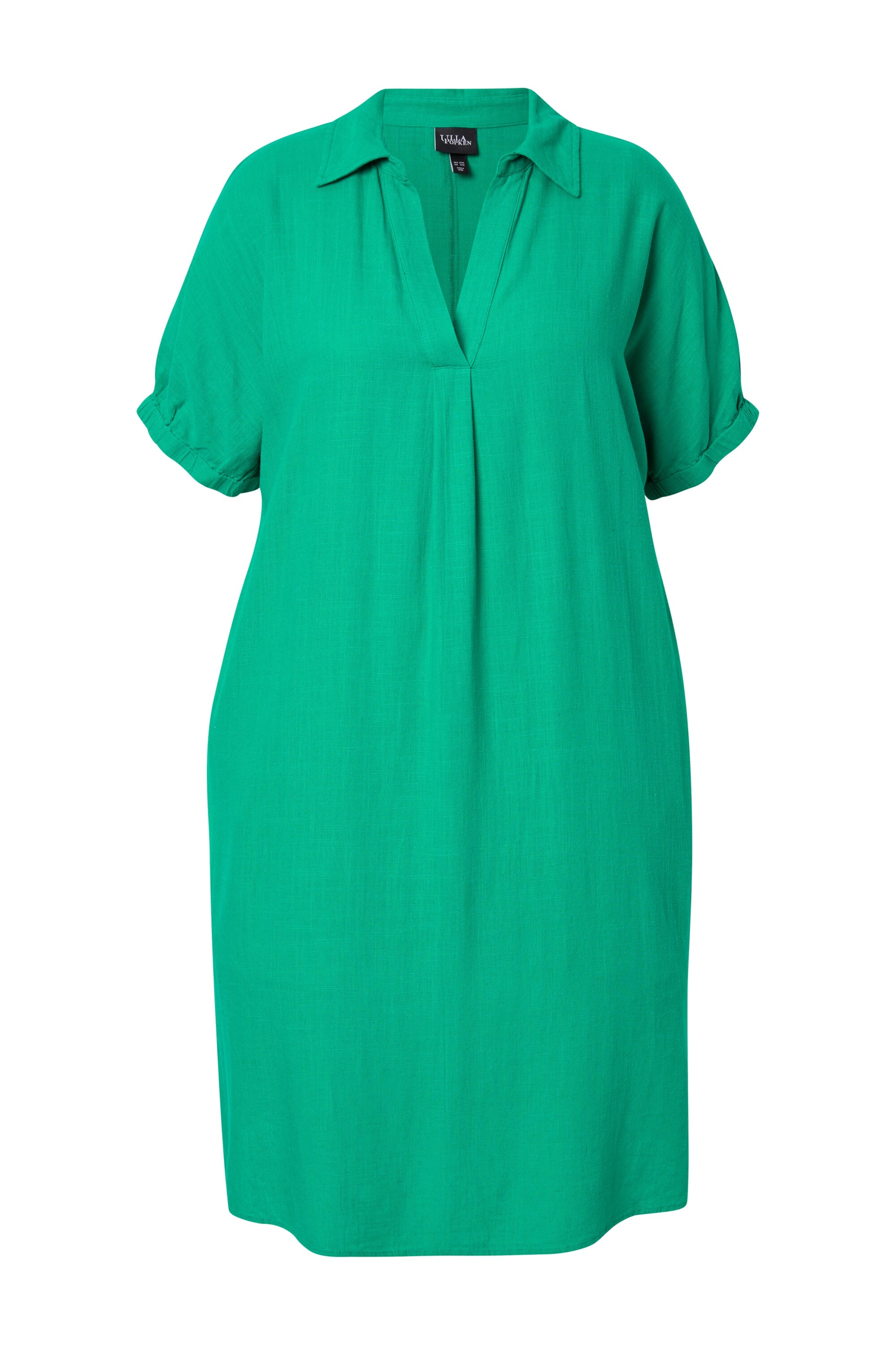 Ulla Popken Kleid in Grün: Vorderseite