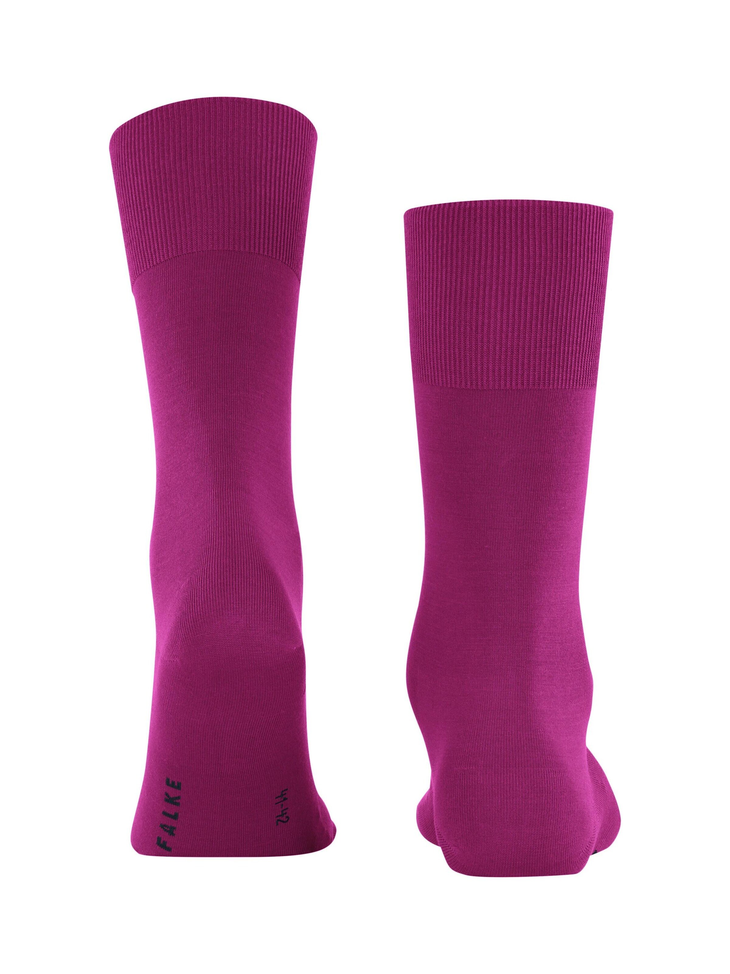 FALKE Socks 'ClimaWool' in Purple