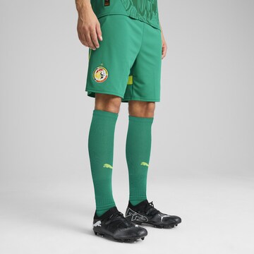 Regular Pantalon de sport 'Senegal 2025' PUMA en vert : devant