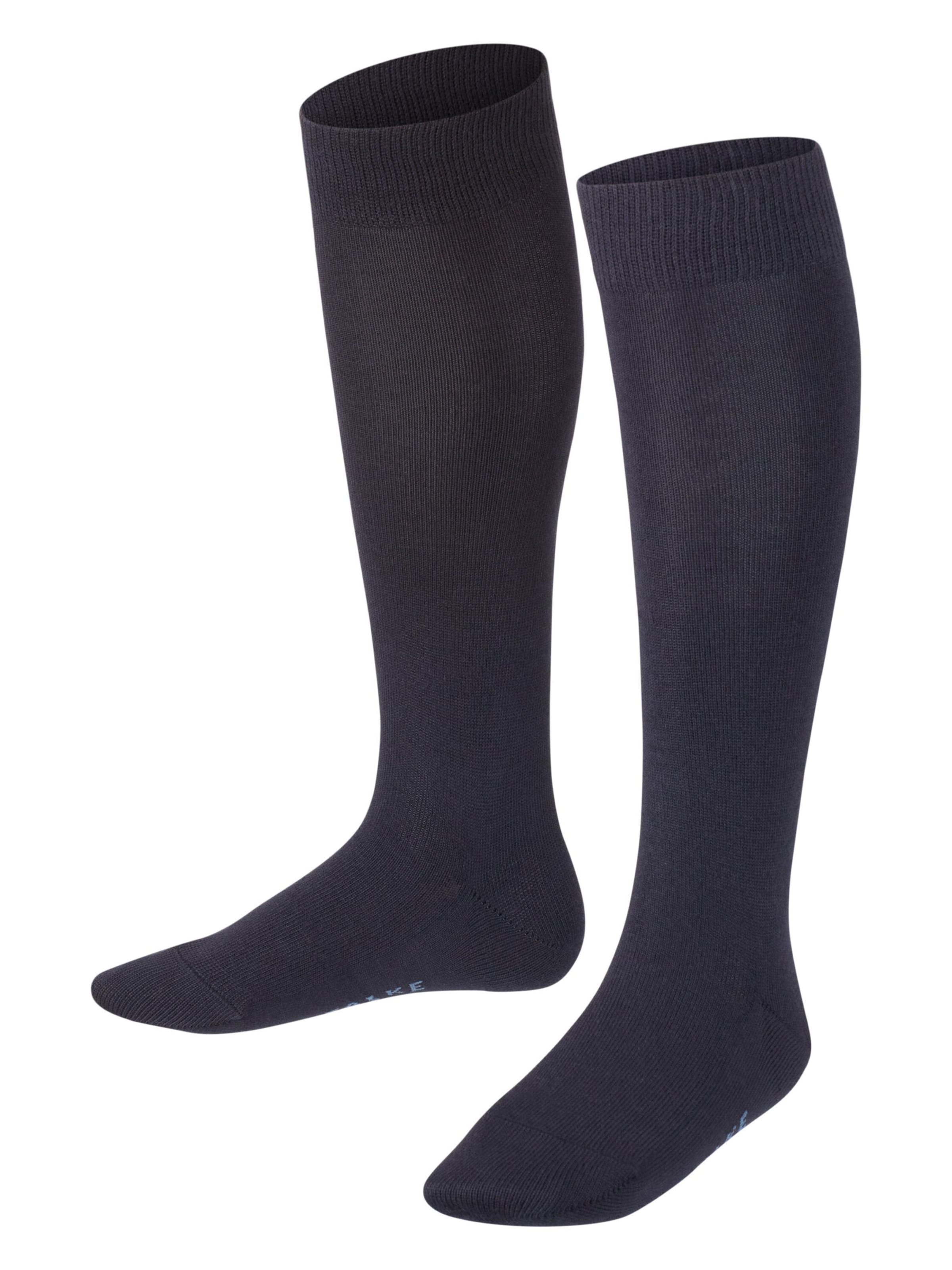 FALKE Socks 'Family' in Blue: front