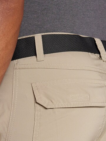 COLUMBIA Regular Outdoor панталон 'Silver Ridge™' в кафяво