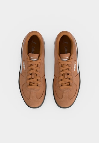 PUMA Madalad ketsid 'Palermo', värv pruun
