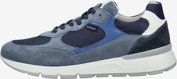 Baskets basses Nero Giardini en bleu : devant