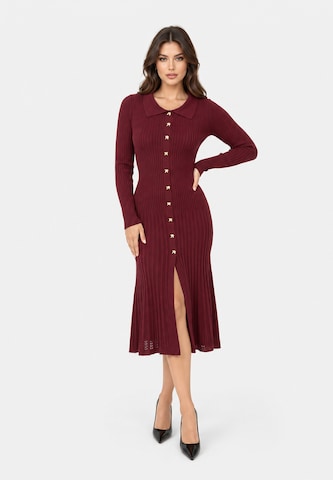 Elara Knit dress in Red: front