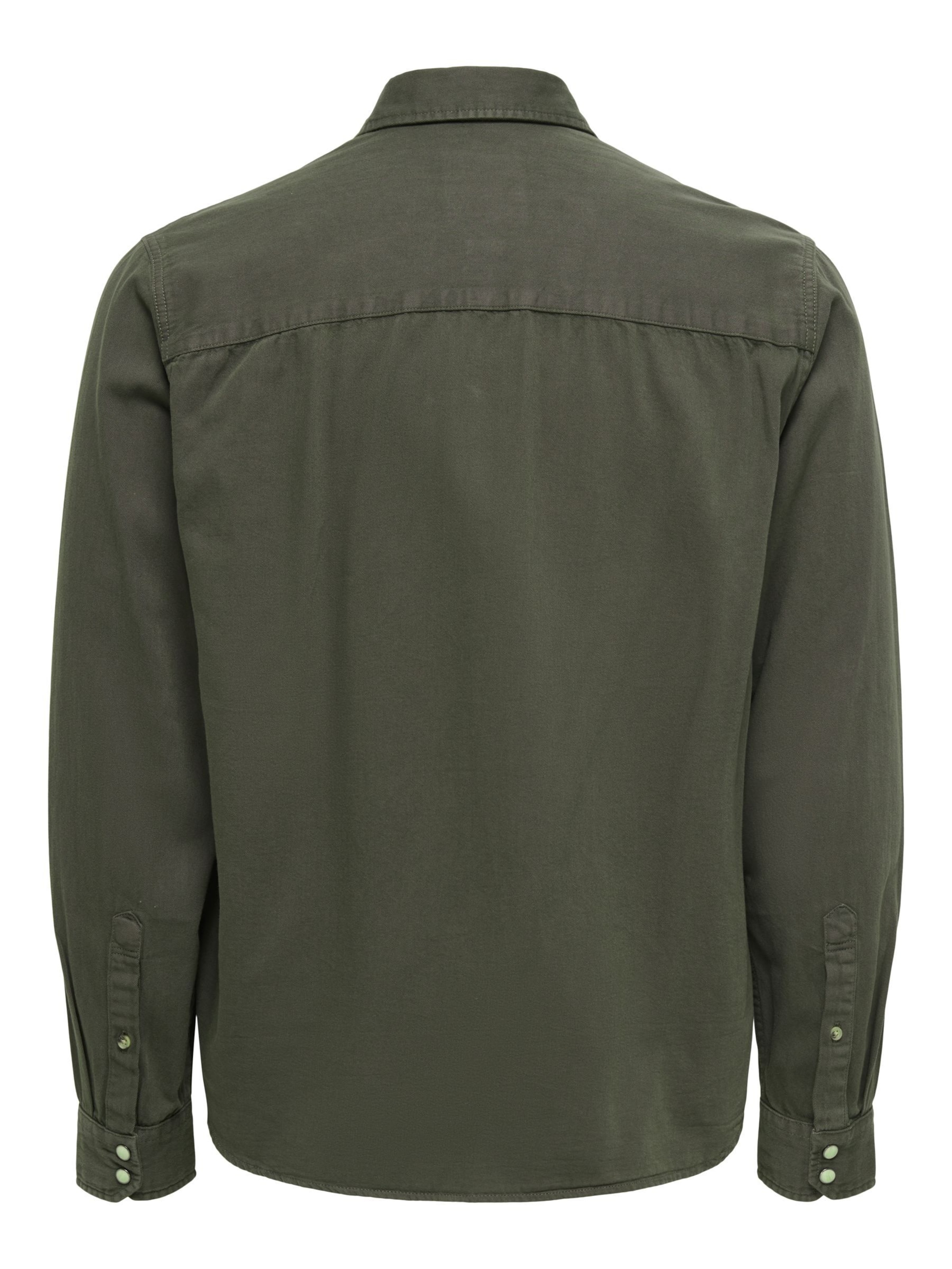 Only & Sons Regular fit Button Up Shirt 'ONSRAY' in Green