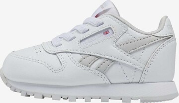 Reebok Sneaker in Weiß: predná strana