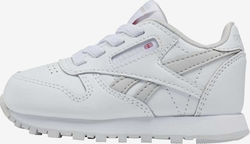 Reebok Sneakers in White: front