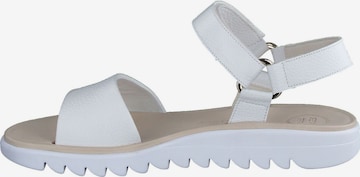 Paul Green Strap Sandals in White