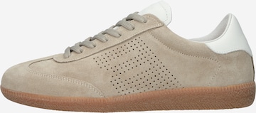 Baskets basses 'Lime Wren Perf DL446' BLACKSTONE en beige : devant