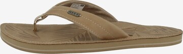 REEF Beach & Pool Shoes in Beige