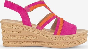 GABOR Sandals in Pink