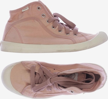 Palladium Sneakers & Trainers in 41 in Pink: front