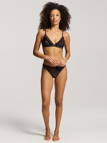Triangle Bikini Shiwi en marron : devant