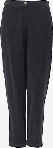 mazine Pants ' Sanjo Pants ' in Black: front