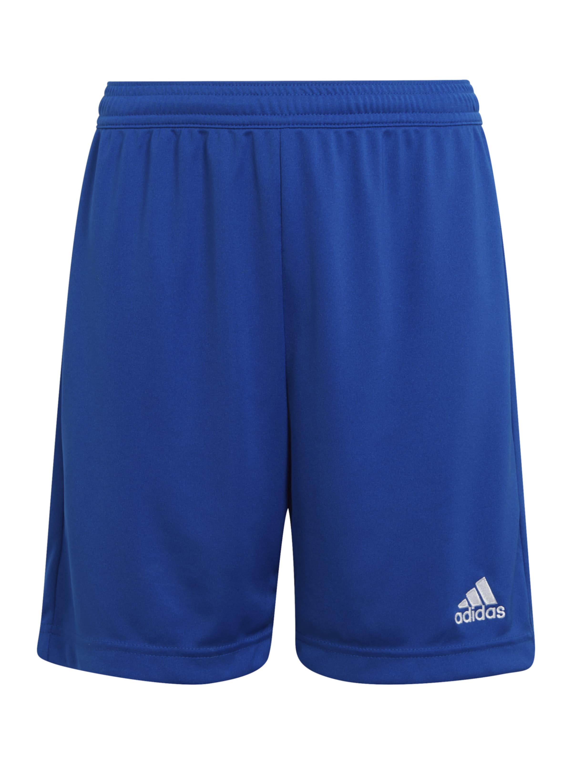 ADIDAS PERFORMANCE - Pantalón deportivo 'Entrada 22' en azul: frente
