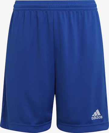 ADIDAS PERFORMANCE Regular Workout Pants 'Entrada 22' in Blue: front