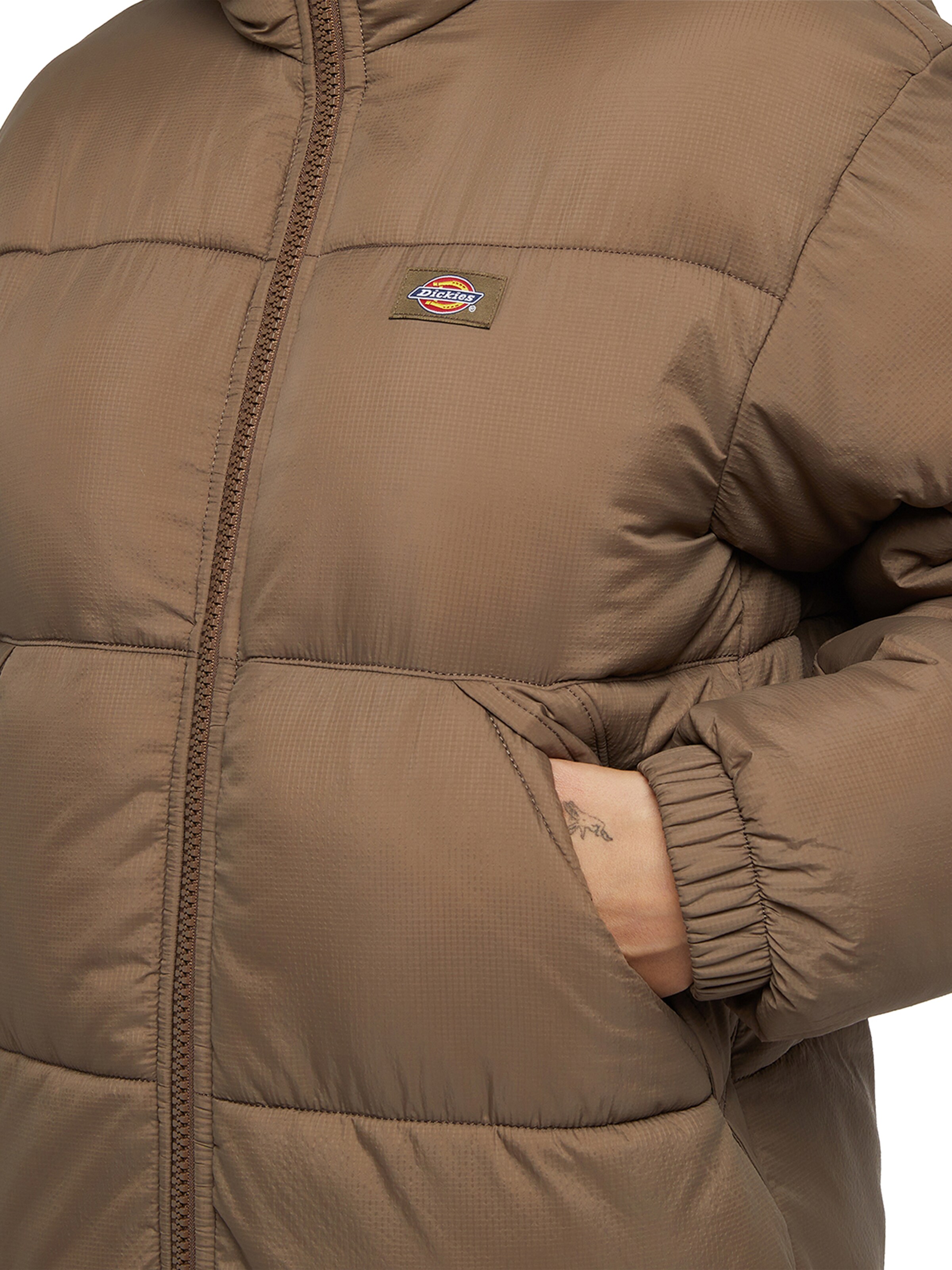 DICKIES Zimski plašč 'ALATNA ' | rjava barva