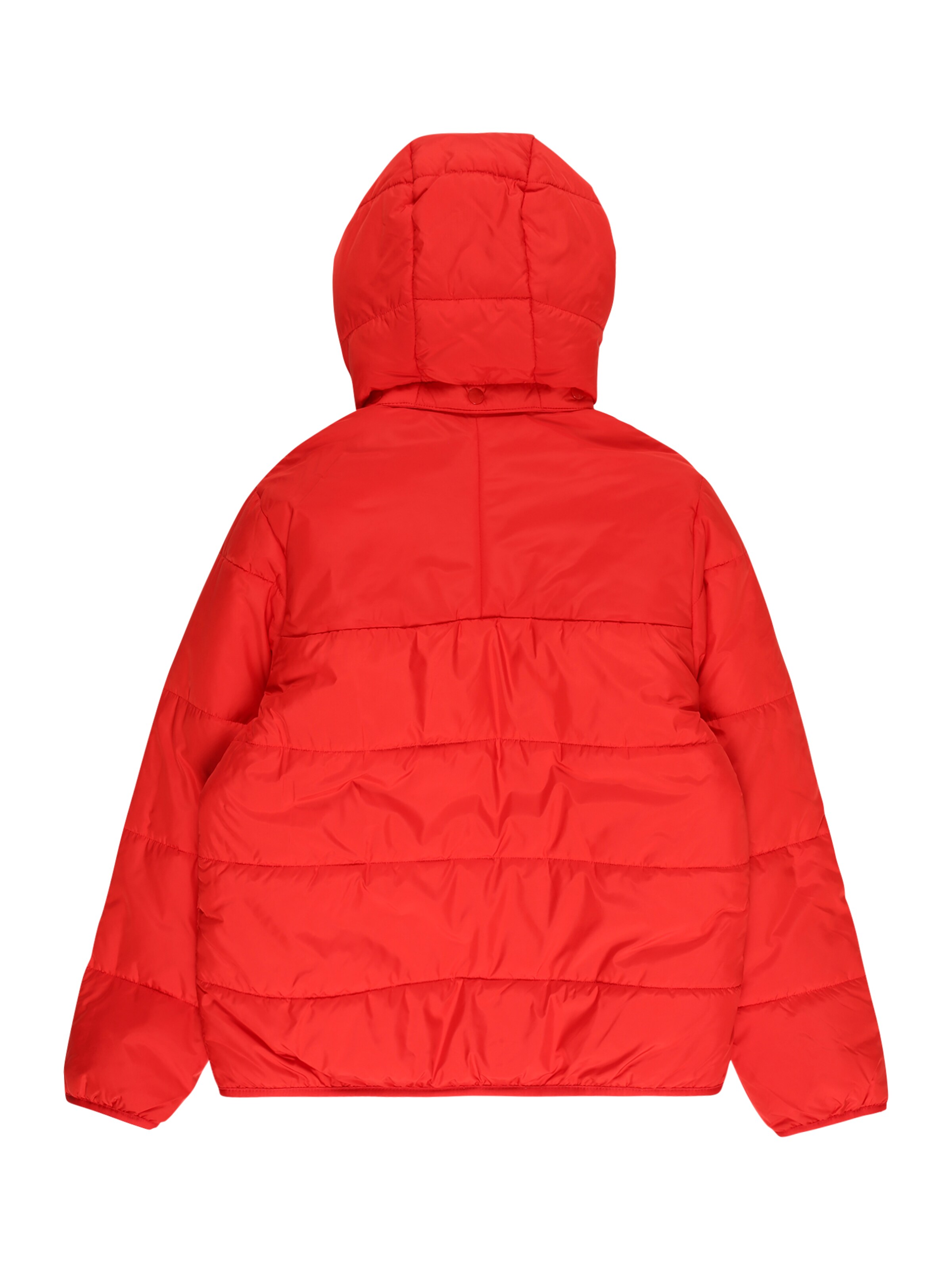 ADIDAS ORIGINALS Winterjas in Rood | ABOUT YOU