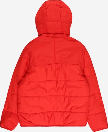ADIDAS ORIGINALS Zimska jakna 'Adicolor' | rdeča barva