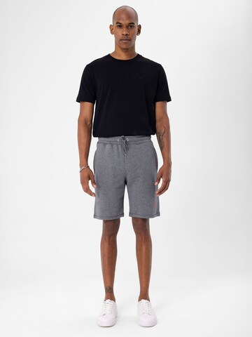 Regular Pantalon By Diess Collection en gris